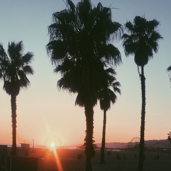 Meet your Posher, Abby - Picture 1 of 1